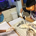 0721SharkDissection_180723_0048.jpg