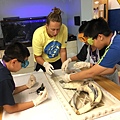 0721SharkDissection_180723_0050.jpg