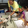 0721SharkDissection_180723_0046.jpg