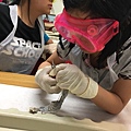 0721SharkDissection_180723_0045.jpg