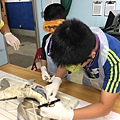 0721SharkDissection_180723_0052.jpg