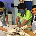 0721SharkDissection_180723_0063.jpg