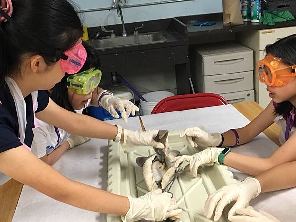 0721SharkDissection_180723_0065.jpg