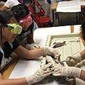 0721SharkDissection_180723_0070.jpg