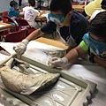 0721SharkDissection_180723_0089.jpg