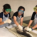 0721SharkDissection_180723_0162.jpg