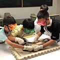 0721SharkDissection_180723_0155.jpg