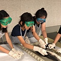 0721SharkDissection_180723_0163.jpg