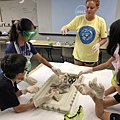 0721SharkDissection_180723_0166.jpg