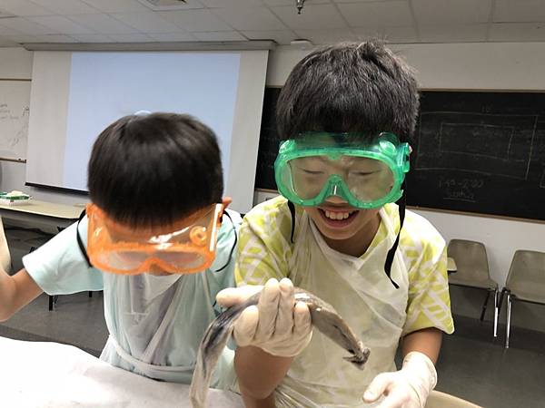 0721SharkDissection_180723_0167.jpg