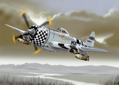P-47 雷電式戰鬥機 THUNDERBOLT P-47 雷電式戰鬥機 THUNDERBOLT