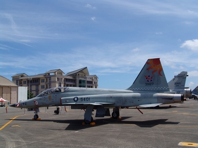 F-5F 中正號戰鬥教練機 Tiger2