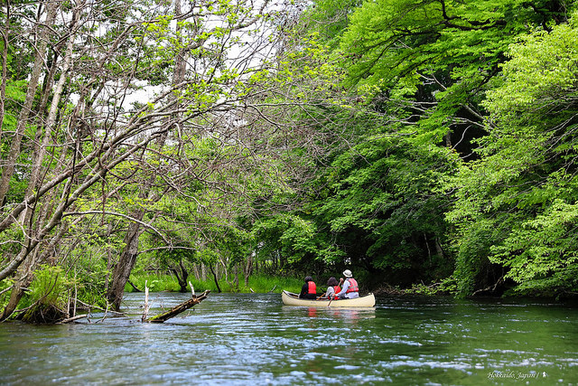 釧路川源流漂流