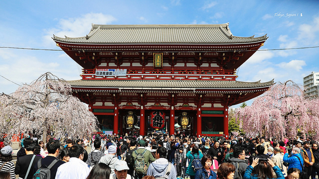 2018 東京櫻花