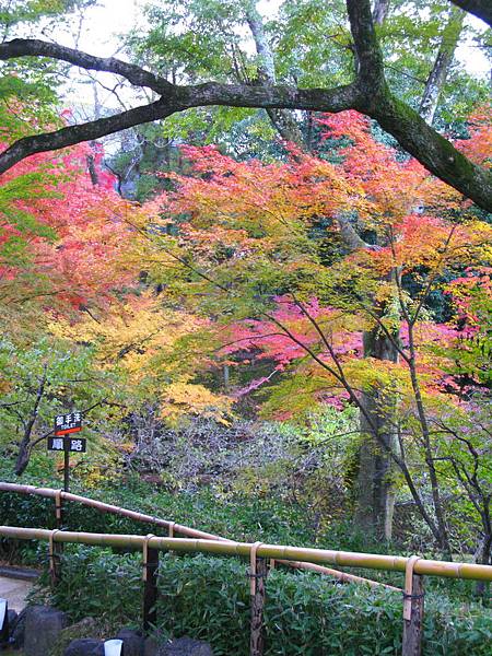 05-北野天滿宮 (34).JPG