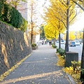 14-吉田神社 (2).jpg