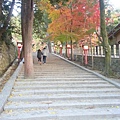 14-吉田神社 (6).jpg