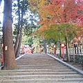 14-吉田神社 (8).jpg