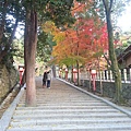 14-吉田神社 (7).jpg