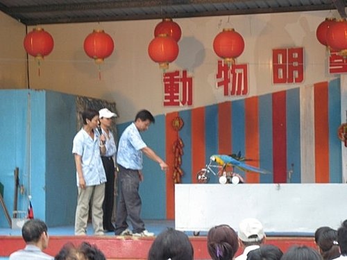 2009新竹員旅 (31).JPG