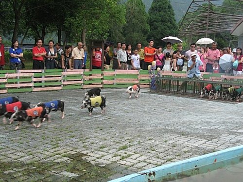 2009新竹員旅 (34).JPG