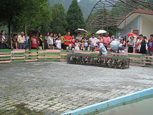 2009新竹員旅 (35).JPG