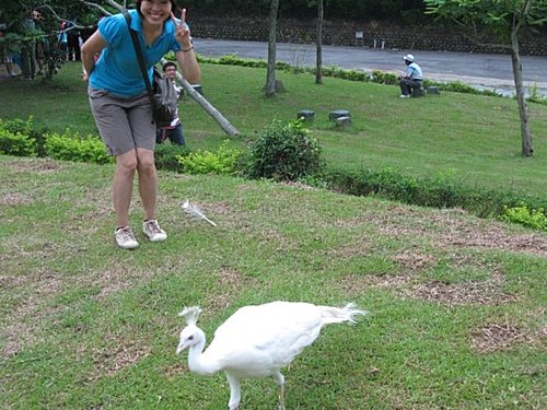2009新竹員旅 (27).JPG