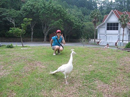 2009新竹員旅 (24).JPG