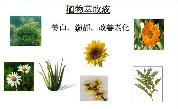 植物萃取液.jpg