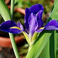 201104056.jpg