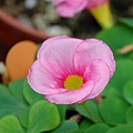 20110320247.jpg