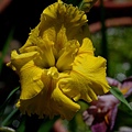 20110424468.jpg