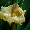 2011043017.jpg