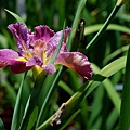 20110424513.jpg