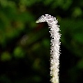 201006074.jpg