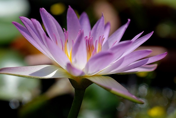 2010081565.jpg