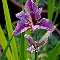 2011042438.jpg