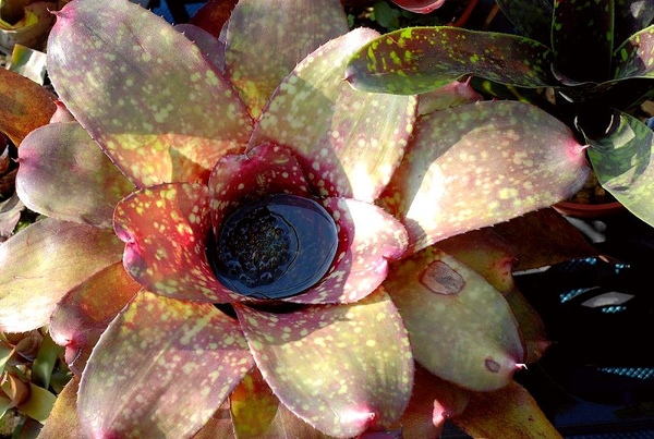 2009060252.jpg