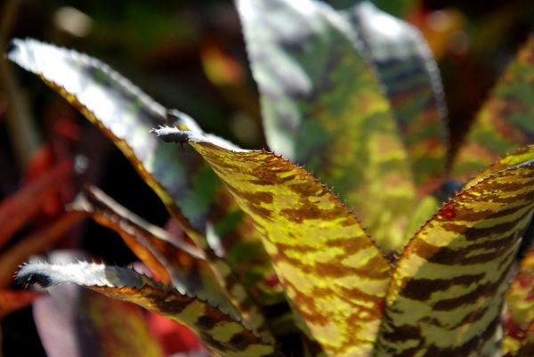 20100201371.jpg