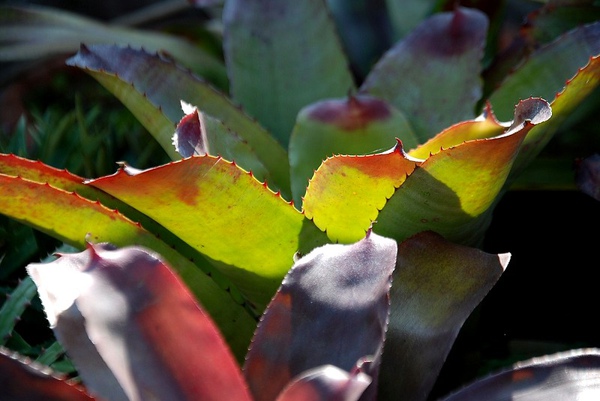 20100201410.jpg