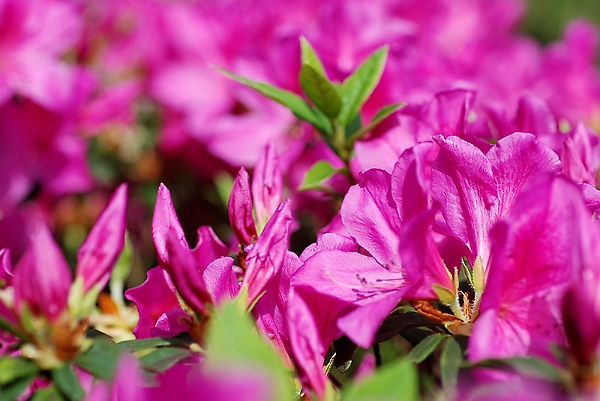 2010030321.jpg