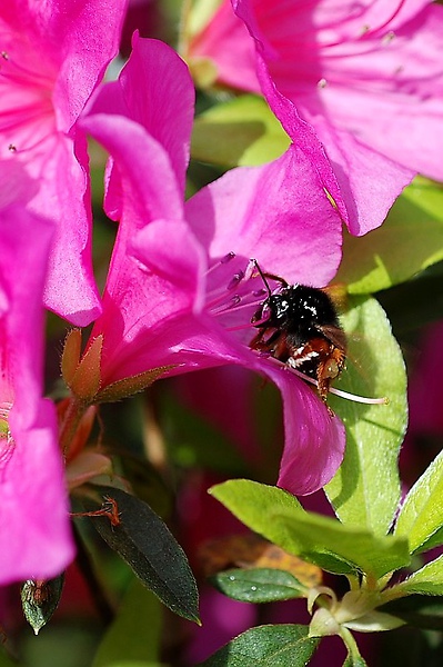 2010030327.jpg