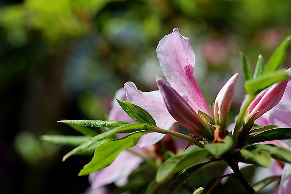 2010030329.jpg