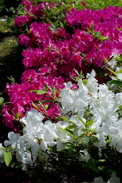 2010030353.jpg