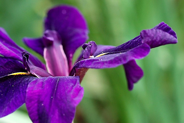 2010032418.jpg