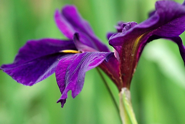 2010032424.jpg