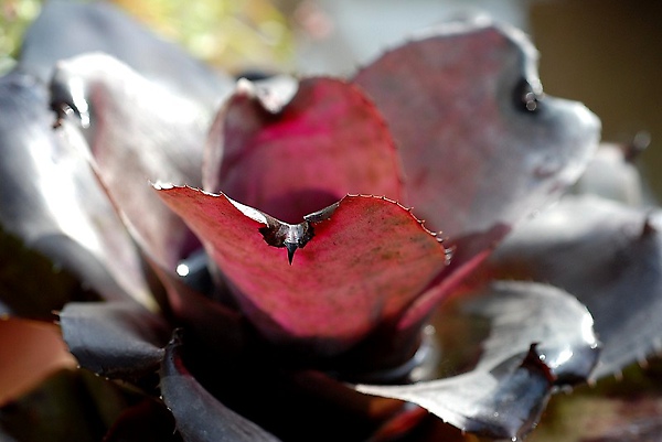 201003282.jpg