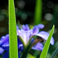 2010040563.jpg