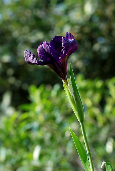DSC_0013.JPG