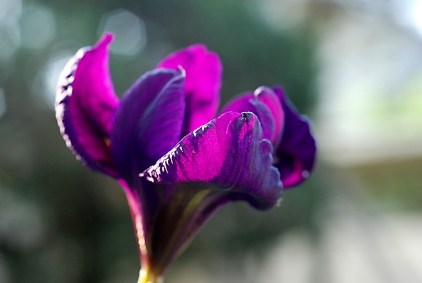 DSC_0035.JPG